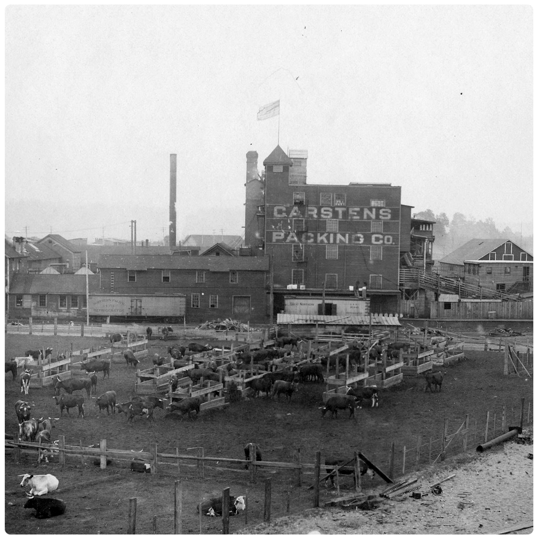 View of the west side of the plant and nearby stockyards.